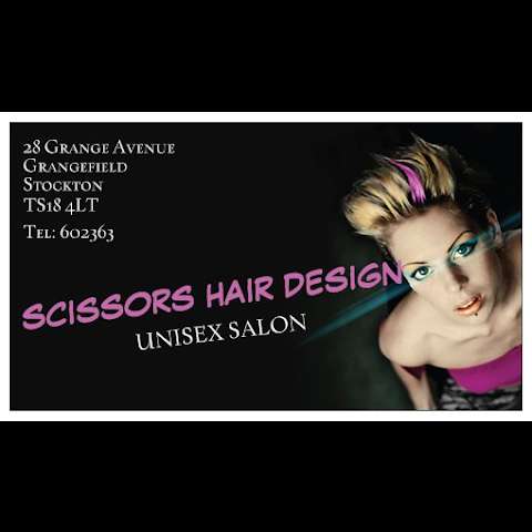 Scissors Hair Design photo